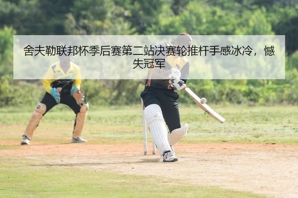 舍夫勒联邦杯季后赛第二站决赛轮推杆手感冰冷，憾失冠军